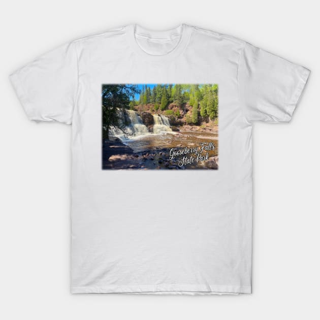 Gooseberry Falls State Park T-Shirt by gorff